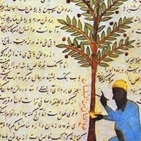 kitab-tentang-pertanian-karya-ibnu-al-awwam-kitab-al-filaha